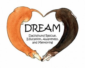 logo_dreamrescue_sized