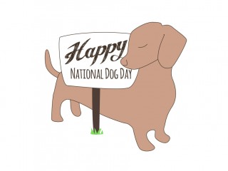 national dachshund day 2019